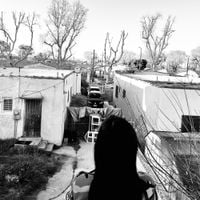 Generacion Suicida - Regeneracion