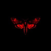 Lil Wayne - I Am Not a Human Being II