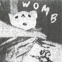 Vile Karimi - Womb Trails
