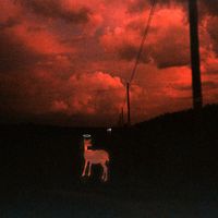 Tyler Heaven - Darkness on the Edge of the Parking Lot