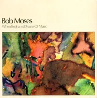 Bob Moses - When Elephants Dream of Music