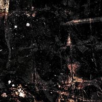 Nico Discenza - black mold