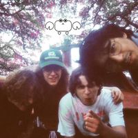 The Carloses - Pavement