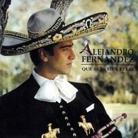 Alejandro Fern&aacute;ndez - Que Seas Muy Feliz