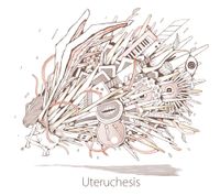 Marmalade butcher - Uteruchesis
