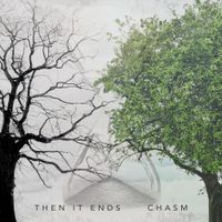 Then It Ends - Chasm