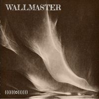 Wallmaster - (​(​(​(​(​(​o​)​)​)​)​)​)
