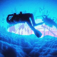 sammythefish - Saturation Diving