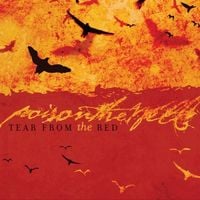 Poison the Well - Tear from the Red