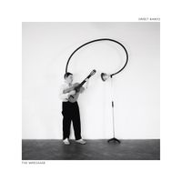 Sweet Baboo - The Wreckage
