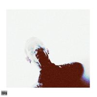 Biv - Bird Song