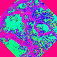 Lil Thrombosis - ISOPOD MIX1