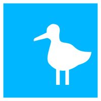 OK Hertz - Nuclear Ducks In Tempelhof