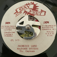 Narobh Sisters & The Gaytones - Promised Land/Version