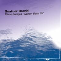 Quatuor Bozzini - Occam Delta XV