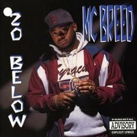 MC Breed - 20 Below