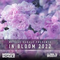 Markus Schulz - In Bloom 2022