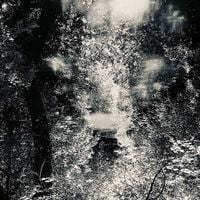 Grief Symposium - .​.​.​In the Absence of Light