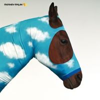 MONKEY MAJIK - 空はまるで