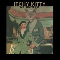 Itchy Kitty - Mr Universe