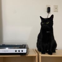 Inquietus - Number One DJ
