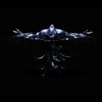 fromjoy - docility
