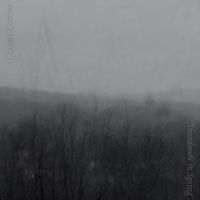 Corvus Corone - Abandoned in Spring