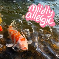 Mildly Allergic - mildly allergic