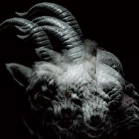 the GazettE - Beautiful Deformity