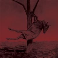 The Plainviews - A Million Different Ways of Saying Nothing at All