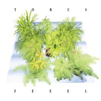 Torus - Feeel