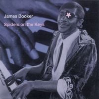James Booker - Spiders on the Keys