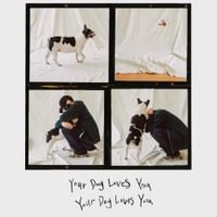 Colde - Your Dog Loves You