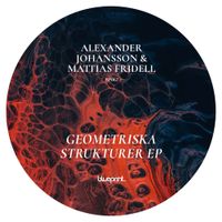 Alexander Johansson & Mattias Fridell - Geometriska Strukturer