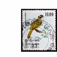 Yzu - Aozora (demo)