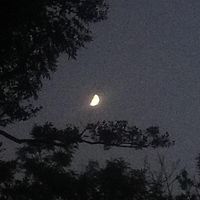 Noobrific - nighttime