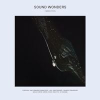 Various Artists - Sound Wonders: A Series of Epics
