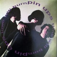 Pin Ups - Time Will Burn
