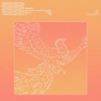 again&again - phoenix