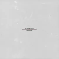 Lowswimmer - Beelining