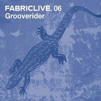 Grooverider - Fabriclive.06