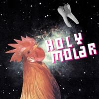 Holy Molar - The Whole Tooth, And Nothing But The Tooth...
