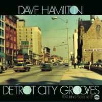 Dave Hamilton - Detroit City Grooves