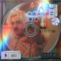 Bishu - Dream of You