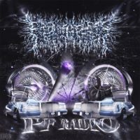 PeelingFlesh - PF Radio