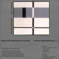 Sines Of Exquisite Pleasure - Music for Hospitals