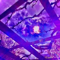 lexycat - Moonflower