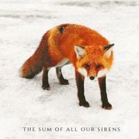 nelward - The Sum of All Our Sirens