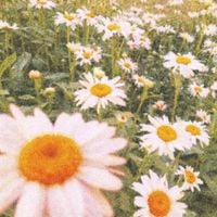 nelward - verdant green