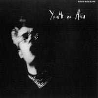 Birds With Ears - Youth in Asia